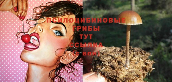 гашик Белоозёрский