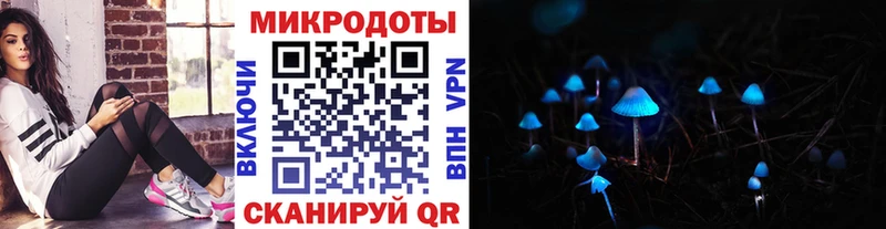 Псилоцибиновые грибы Psilocybine cubensis  Медвежьегорск 